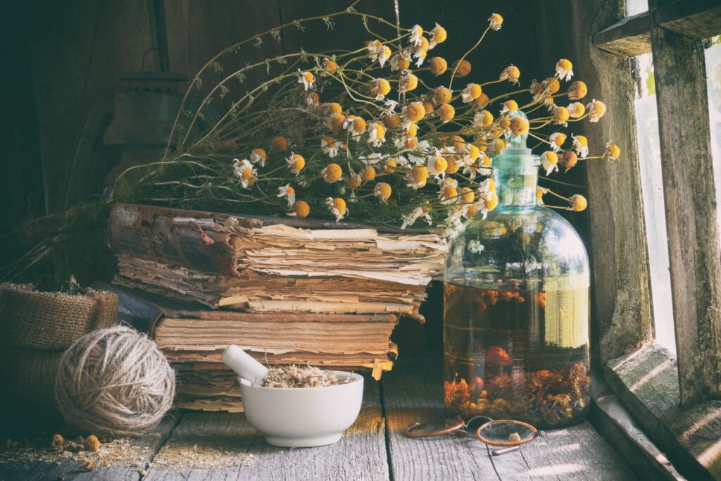 Altes Wissen. Alte Bücher, Kräuter, Mörser - Naturseminare Naturhof Schranz Burgenland