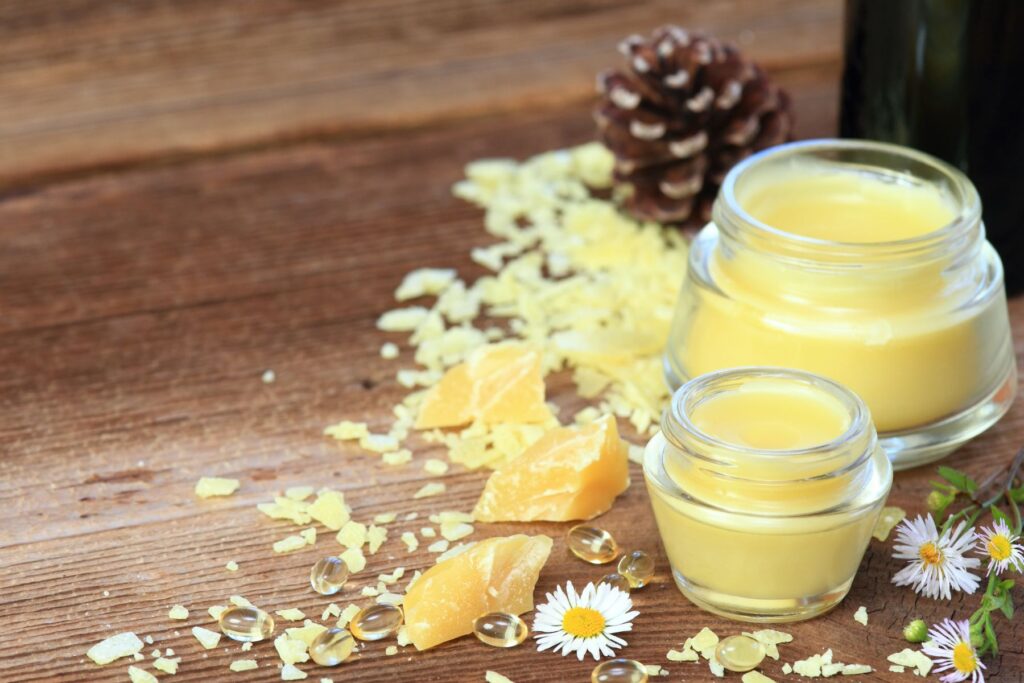 Salbengläser mit Bienenwachs und Gänseblümchen. Online-Kräuterkurs und DIY Naturkosmetik