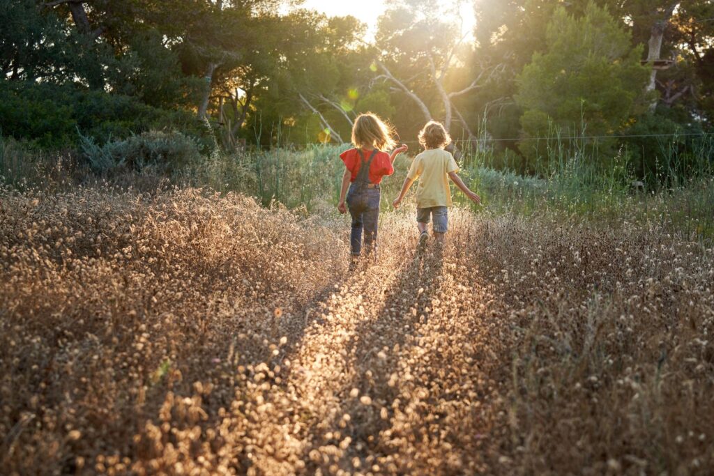 Kinder spazieren Hand in Hand durch Getreidefeld