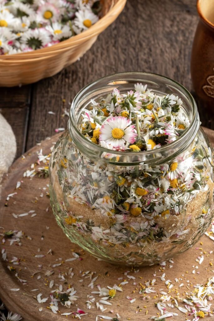 Schichtsirup mit Gänseblümchen