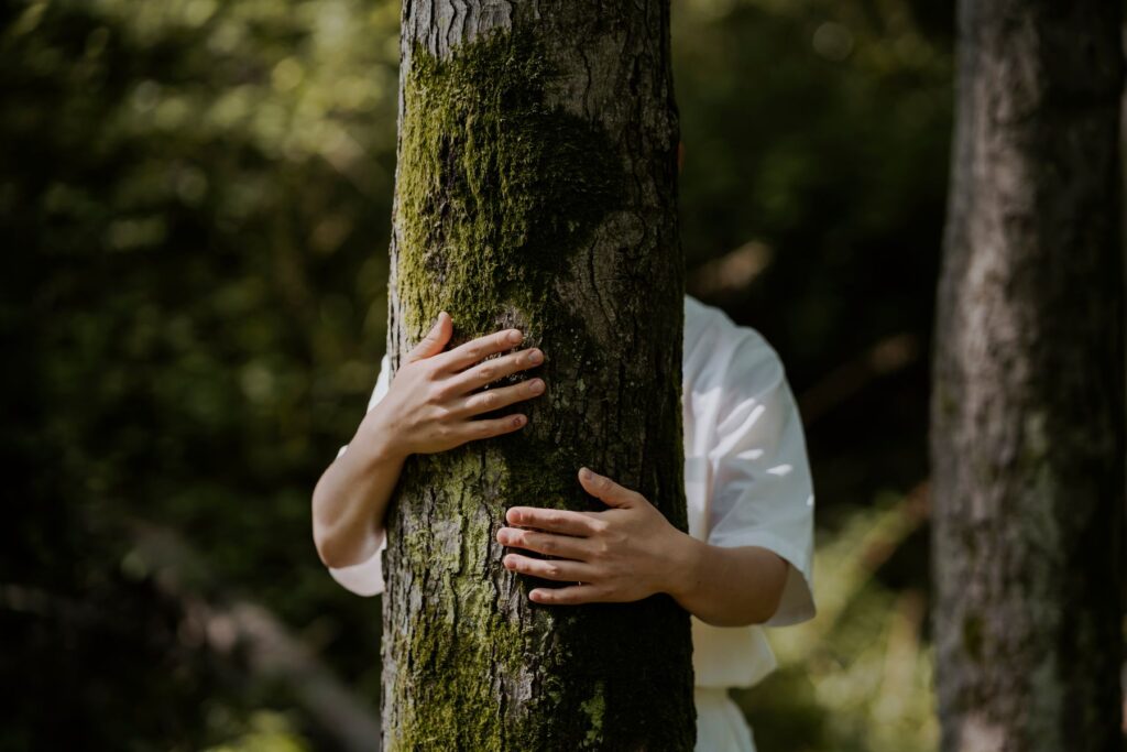 Kraftquelle Klosterwissen: zur Stressreduktion nach TEM zeigt einen Baum zu umarmen