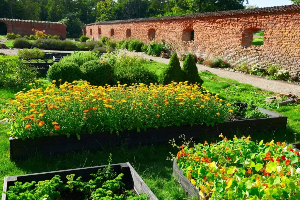 Klostergarten im Sommer mit blühenden Blumen und Beeten