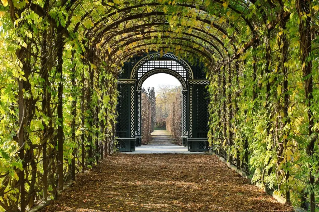 Klostergang im Garten, umhüllt vom sich entwickelnden Blätterdach