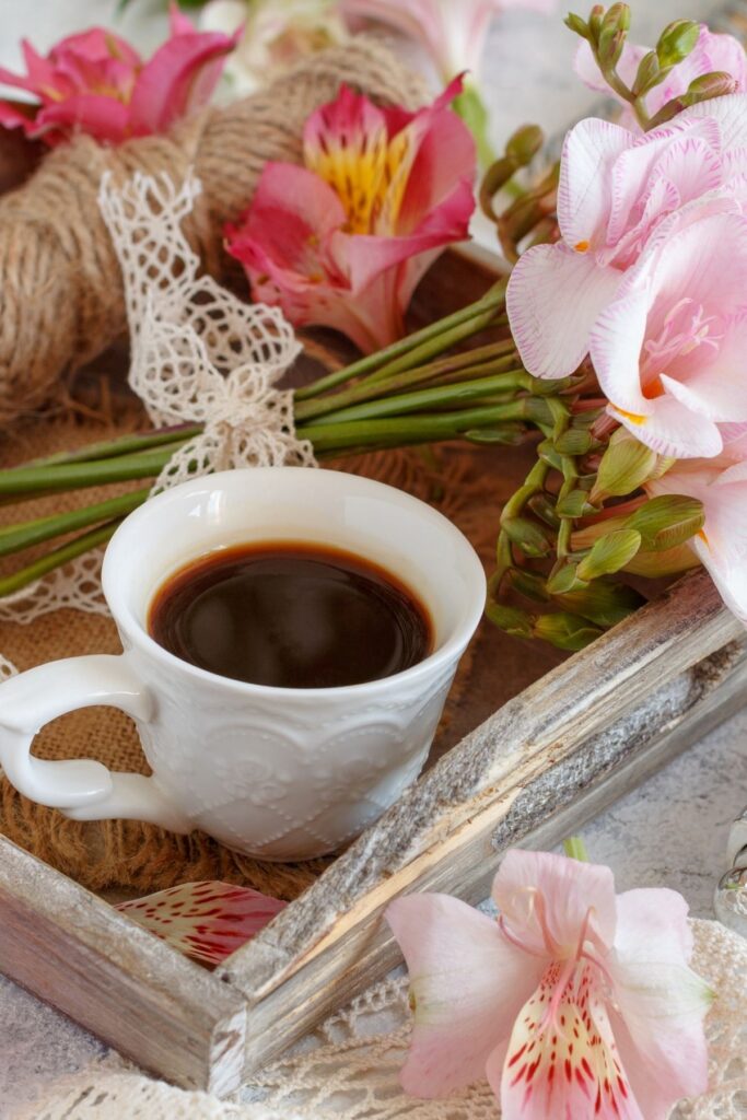 Naturkosmetik selbstgemacht und Frühstück beim Vormittag nur für euch